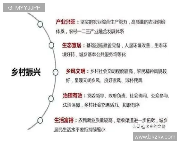 西安排球队的战术变革与未来发展趋势深度解析